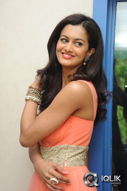 Shubra-Aiyappa-at-Prathinidhi-Movie-Success-Meet